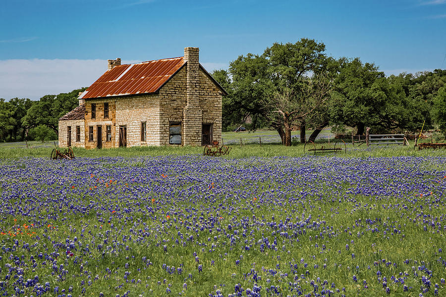 Bluebonnet House Photograph by Carl Chick - Fine Art America