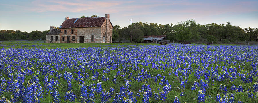 Bluebonnet House in the Texas Hill Country Panorama 2 Photograph by Rob Greebon