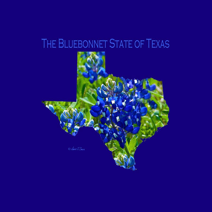 Bluebonnet State of Texas - T-Shirt Photograph by Robert J Sadler