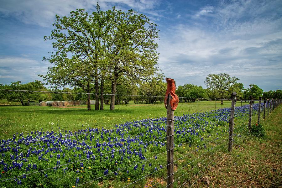 Bluebonnets and Boots on the Willow City Loop Photograph by Lynn Bauer
