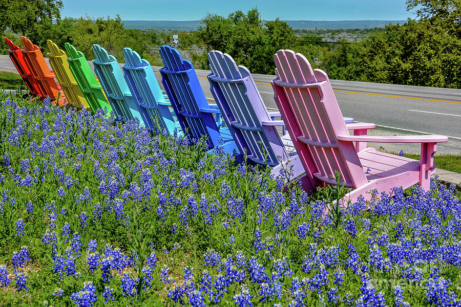 Bluebonnets and chairs Photograph by David Meznarich