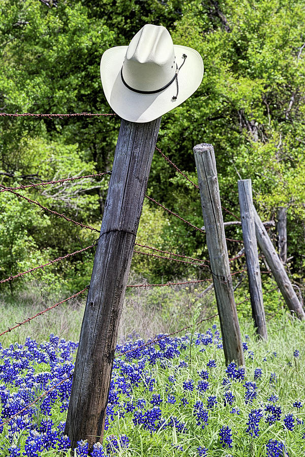 Bluebonnets and Cowboy Hats Photograph by JC Findley