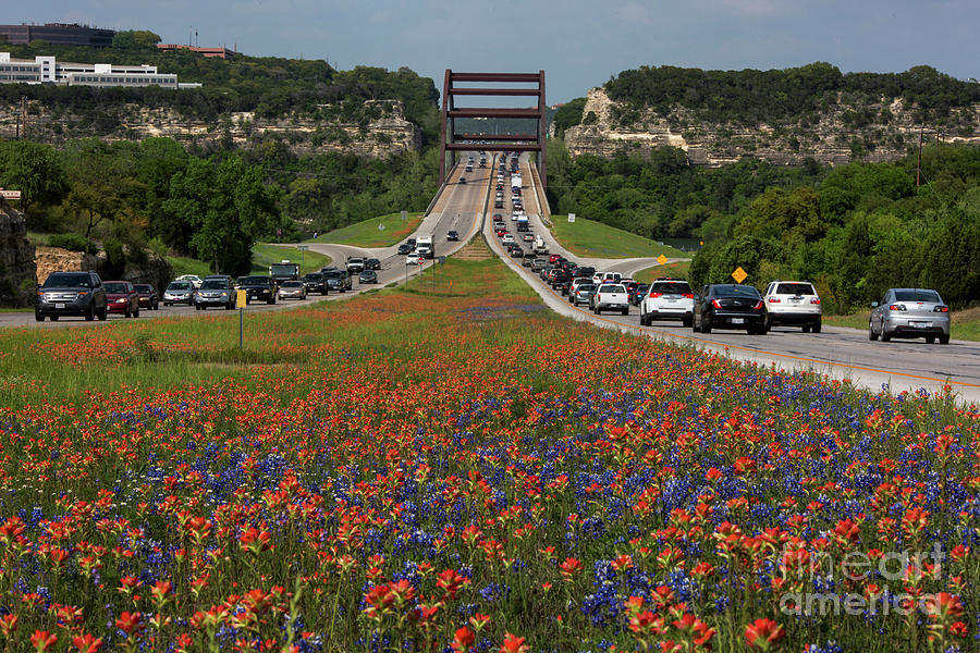 Rush Hour Movie Photograph - Bluebonnets and Indian Paintbrush wildflowers bloom along the 36 by Dan Herron