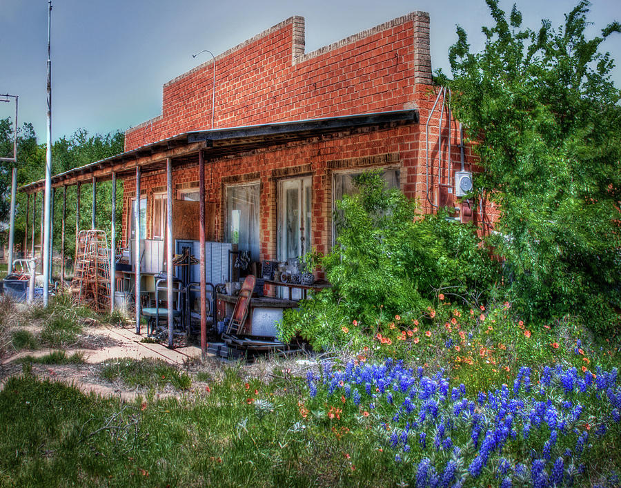 Bluebonnets and Junk Photograph by David and Carol Kelly