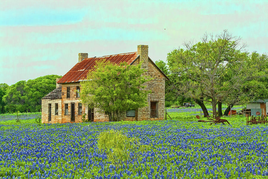 Bluebonnets and Rock House Photograph by James Stout - Fine Art America