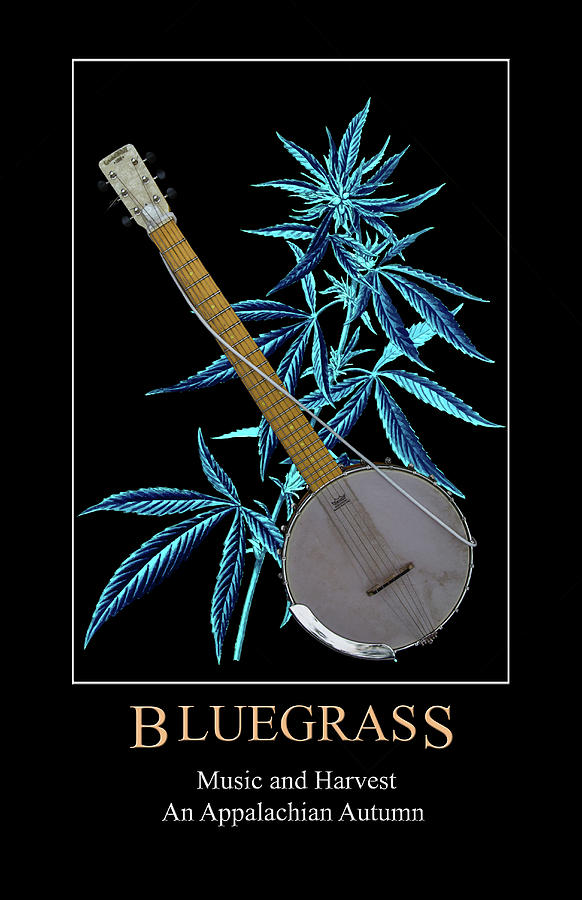Bluegrass Digital Art by John Haldane