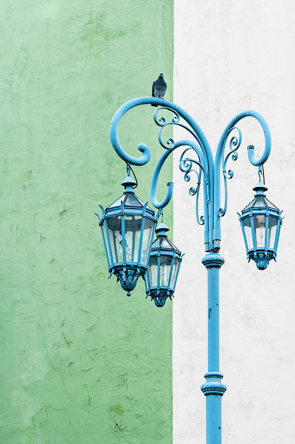 Blue,green and white Photograph by Usha Peddamatham