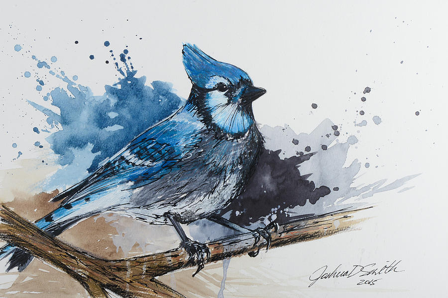 Watercolor Birds Painting - Bluejay by Joshua Smith