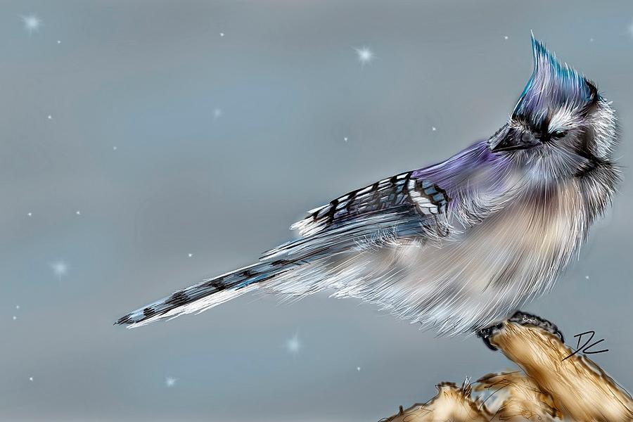Winter Bluejay Digital Art by Darren Cannell