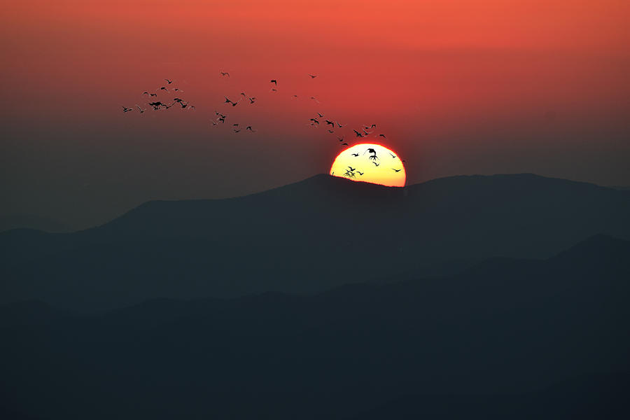 Blue Ridge Sunset Photograph by Gary Smith