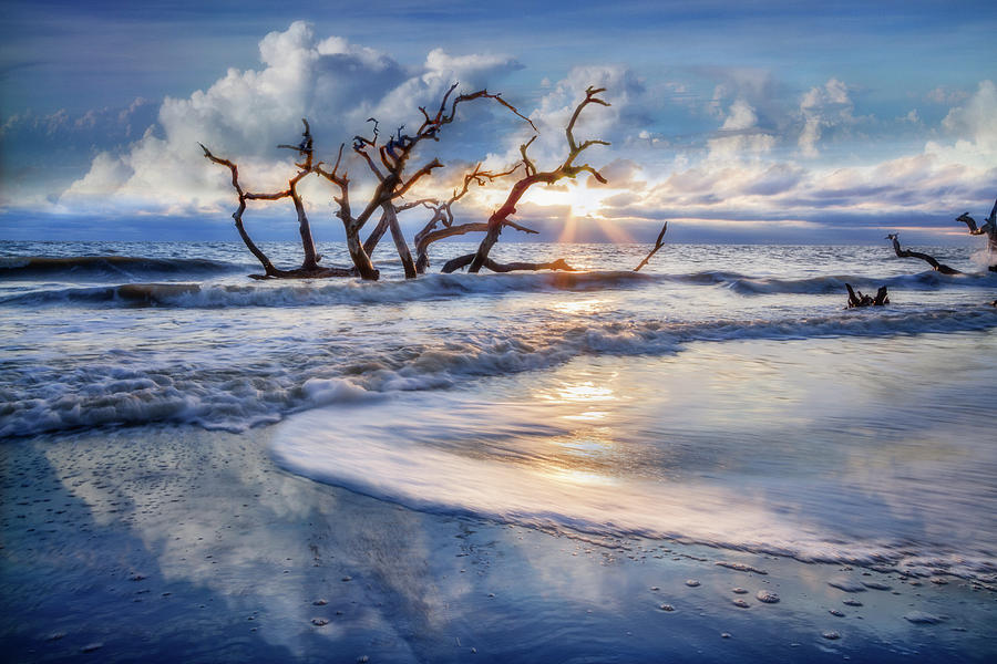 Blues at Driftwood Beach Photograph by Debra and Dave Vanderlaan