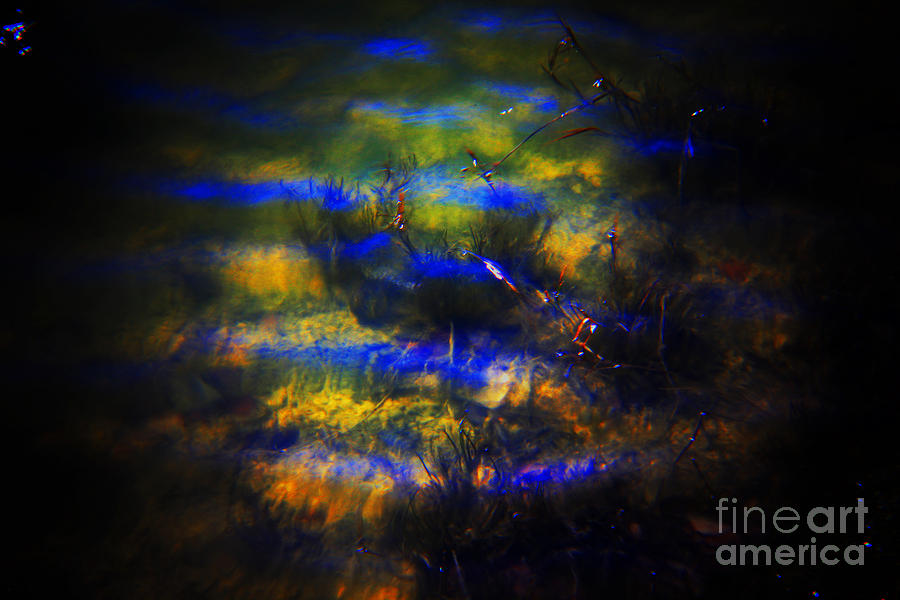 Blues, Greens, Yellows, Floating Photograph by David Frederick