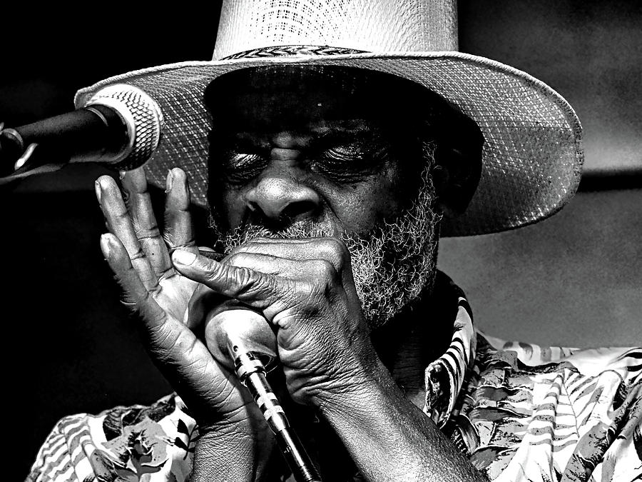 Blues Harp BW Photograph by C H Apperson