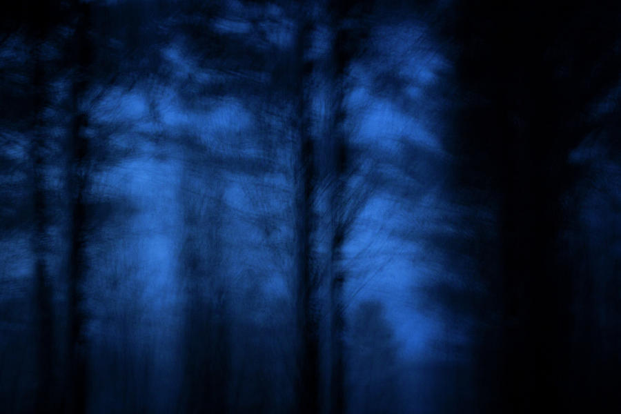 Blues Silhouette Photograph