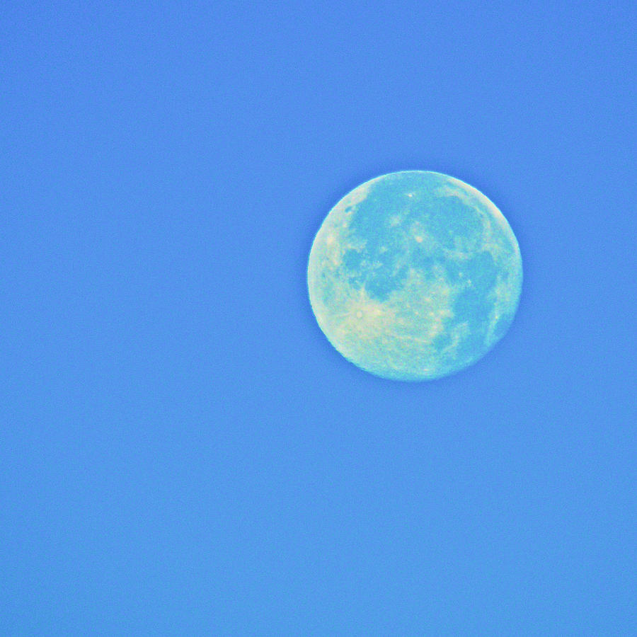 Bluesy Moon Photograph by Eric Tressler