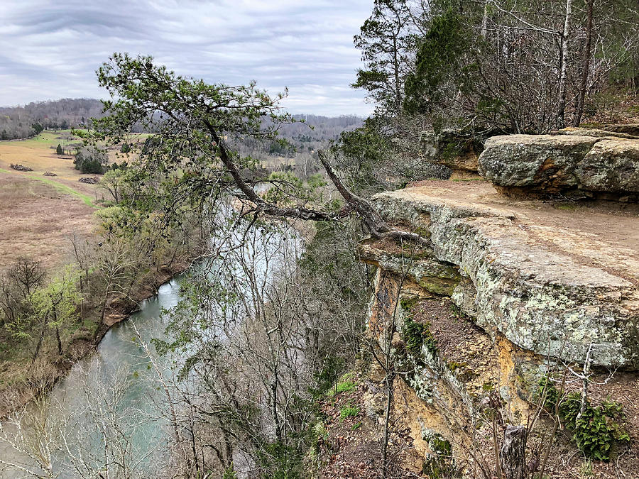 Bluff at Harpeth River Narrows Photograph by Phil Hartman