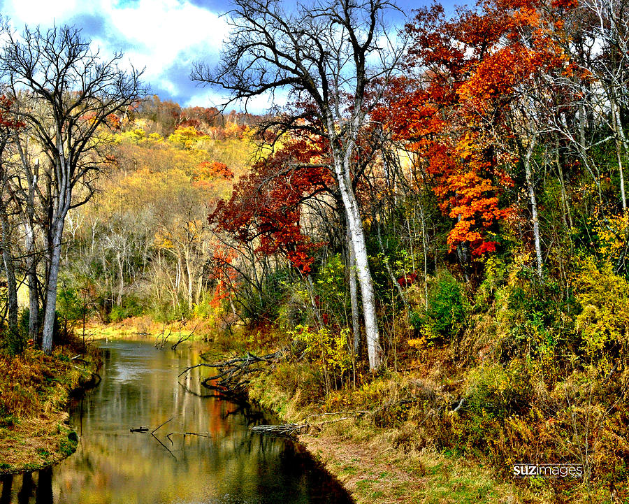 Bluff Country by Susie Loechler Bluff Country by Susie Loechler