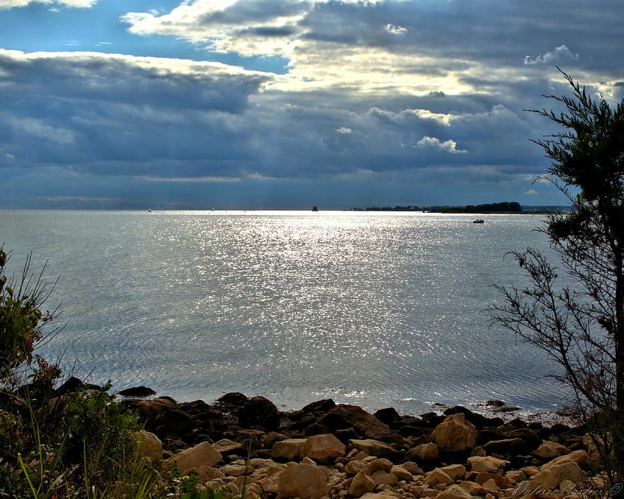 Bluff Point Groton Photograph by Valerie Cartier Fine Art America
