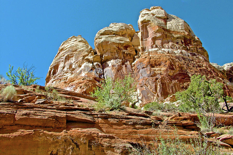 Bluffs along Calf Creek Lower Falls Trail in Grand Staircase-Escalante National Monument, Utah Photograph by Ruth Hager