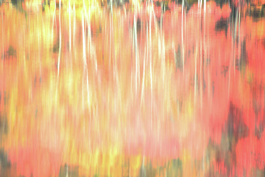 Blur Of Autumn Photograph by Karol Livote