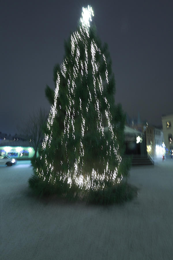 Blurred Christmas tree Photograph by Ulrich Kunst And Bettina Scheidulin