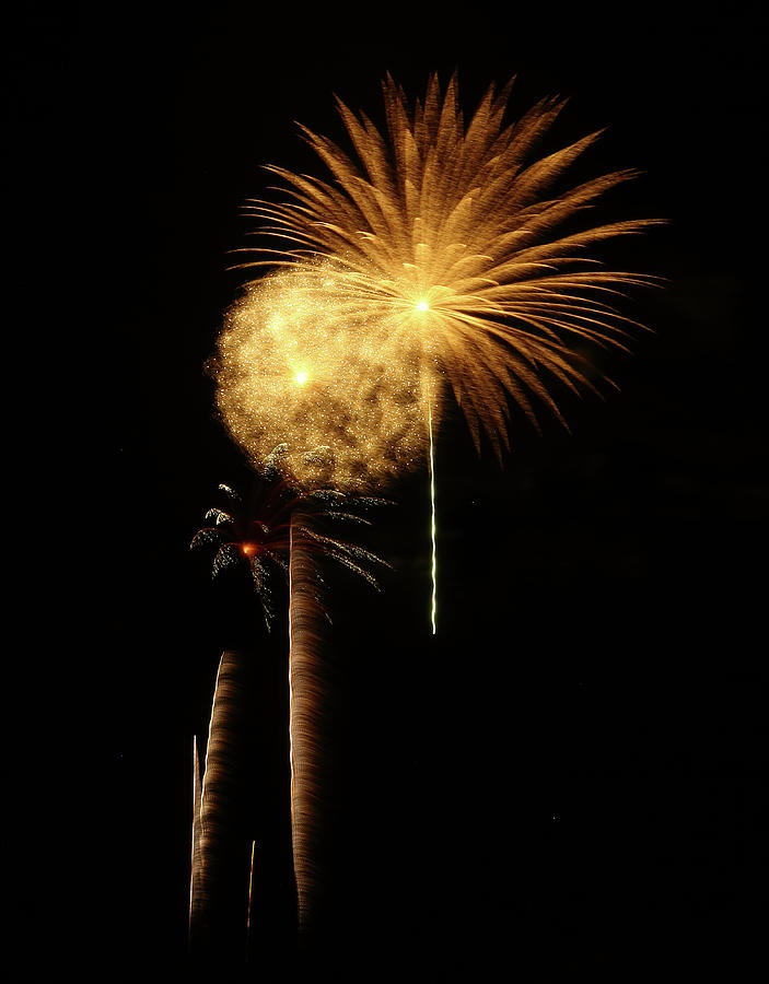 Blurred Fireworks Photograph by Elaine Malott