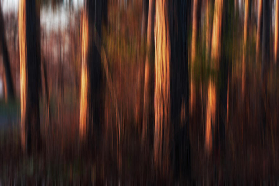 Blurred Lines Photograph by Angela King-Jones - Fine Art America
