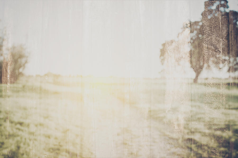 Blurred Nature Background with Instagram Style Filter Photograph by Brandon Bourdages