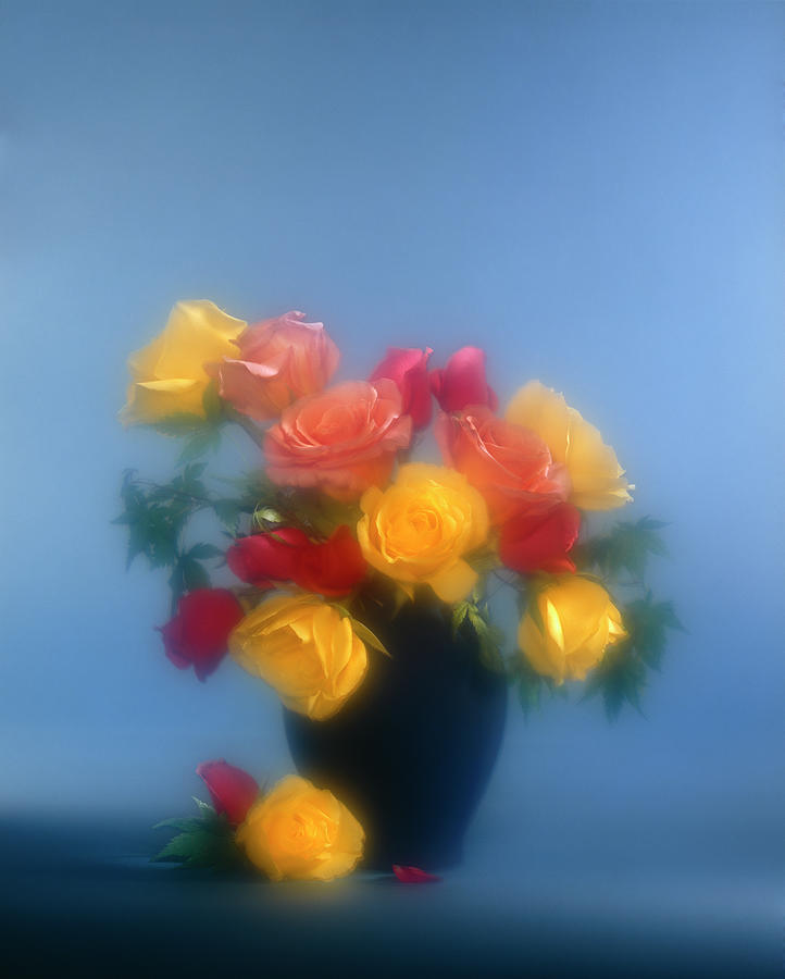 Blurred Roses in the Blue Photograph by Stefania Levi