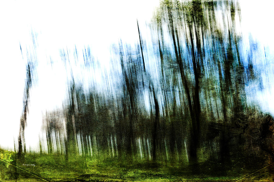 Blurred Vision Photograph by Randi Grace Nilsberg
