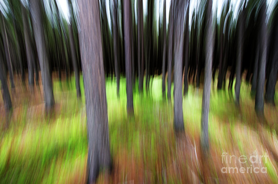 Blurring Time Photograph by Bob Christopher
