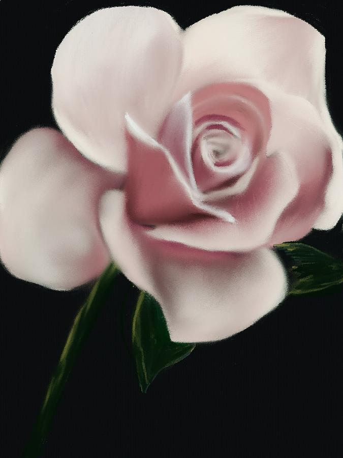 Blush Beauty Rose Digital Art by Michele Koutris