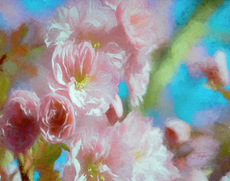Blushed by the Sun Digital Art by Colleen Taylor
