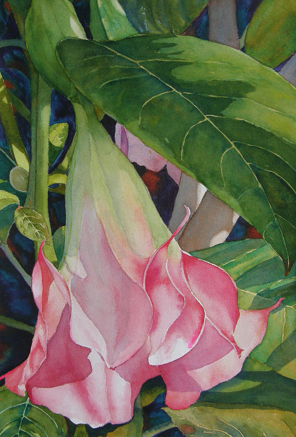 Angel Trumpet Painting - Blushing Angel by Judy Mercer