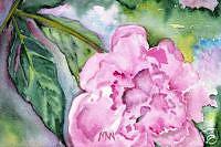 Blushing Peony Painting by Marsha Woods