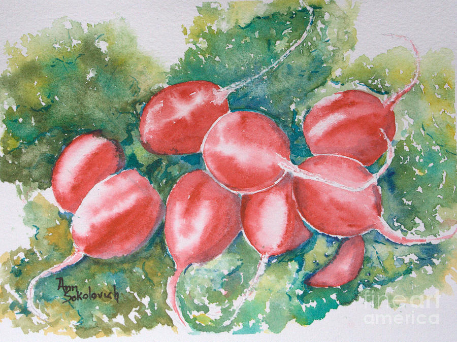 Red Painting - Blushing Radishes by Ann Sokolovich