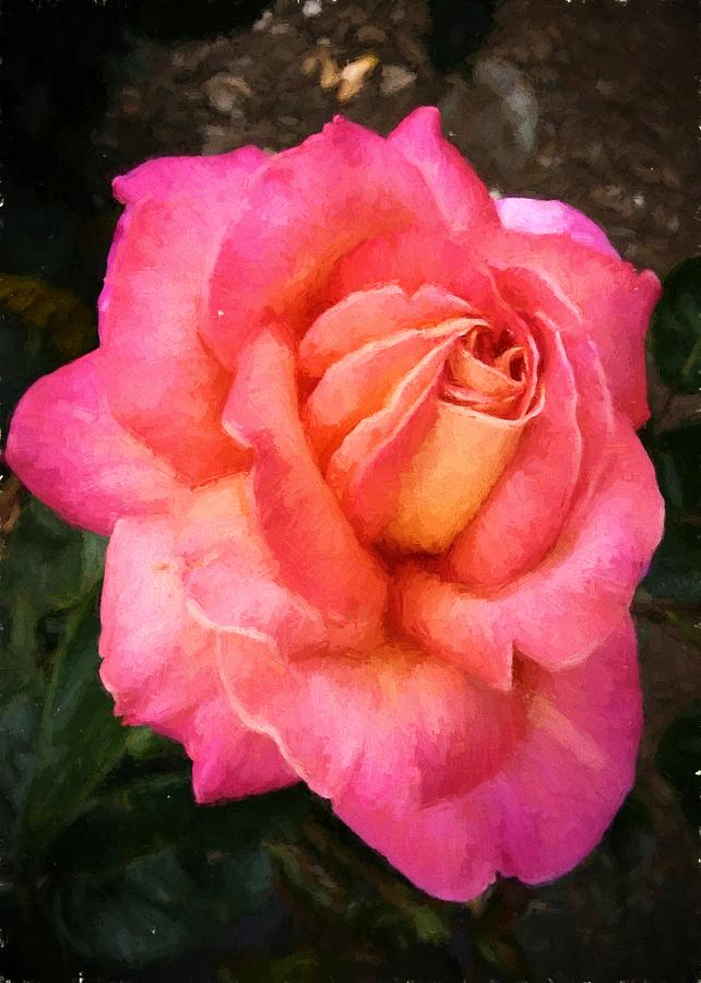 Blushing Rose Digital Art by Charmaine Zoe