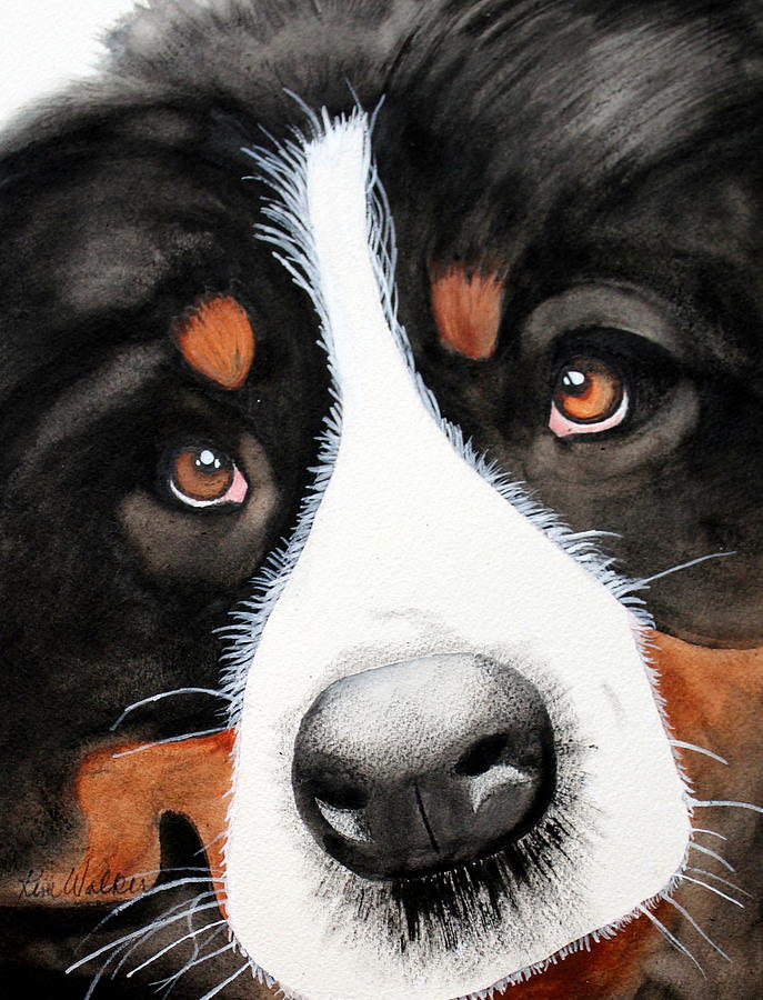 BMD Watercolor Painting by Kimberly Walker