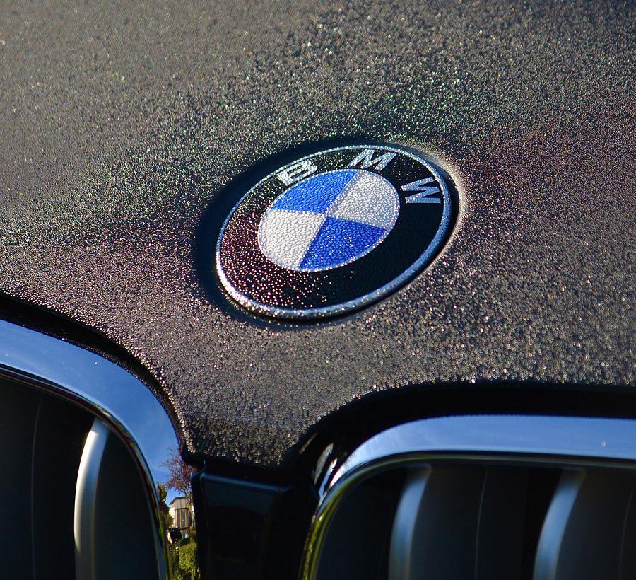 BMW Detail Photograph by Dean Ferreira