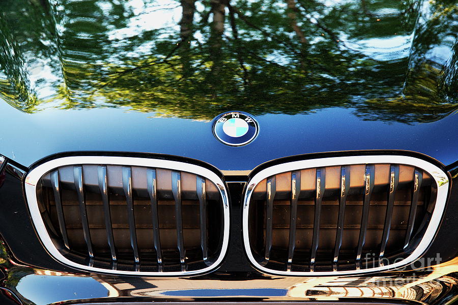 BMW Photograph by Esko Lindell