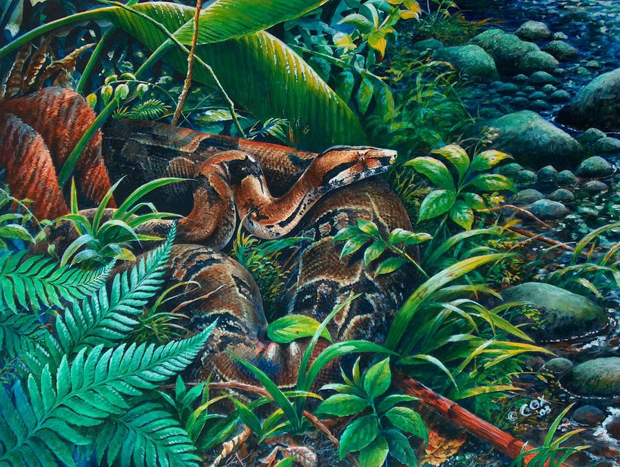 Boa in the grass Painting by Christopher Cox