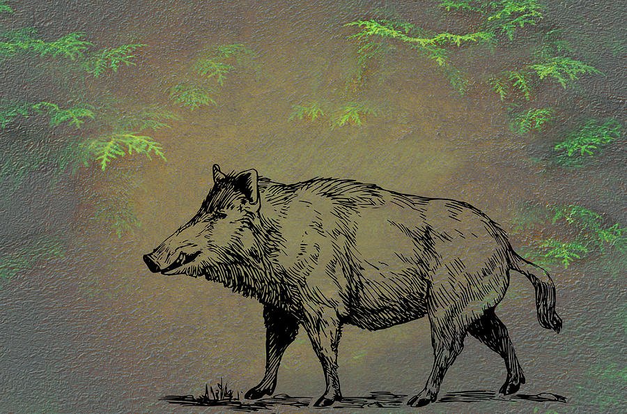 Boar Mixed Media by Movie Poster Prints