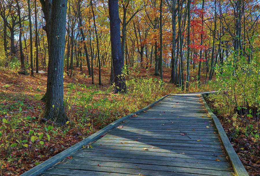 Boardwalk at Green Hill Park Photograph by Juergen Roth