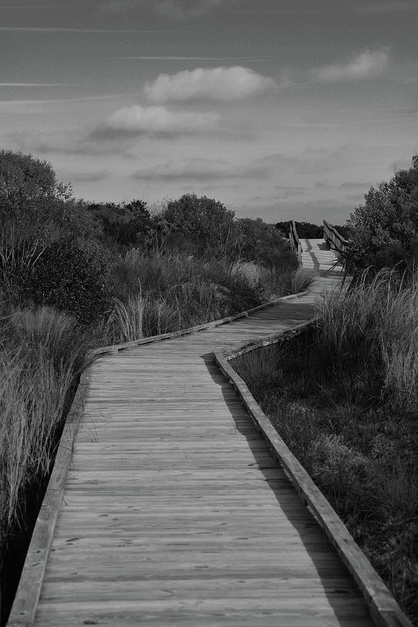 Boardwalk At Talbot Island Photograph