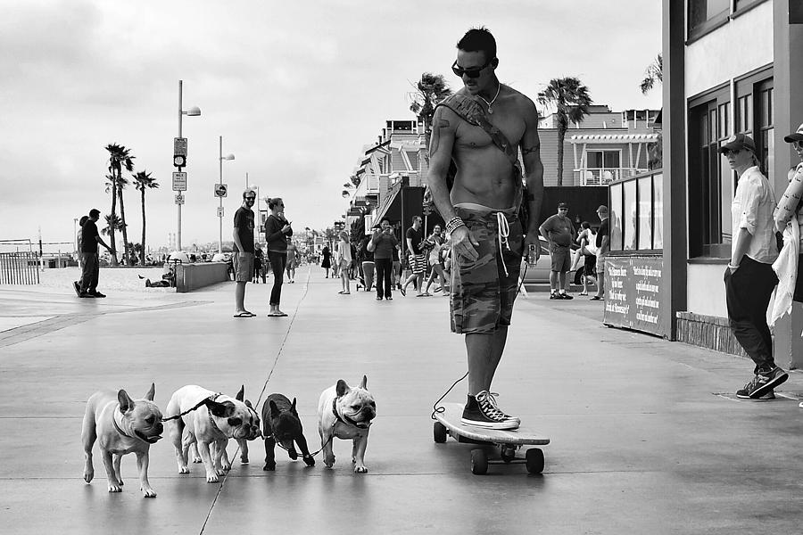 Boardwalk Bullies Photograph by Jeffrey Ommen