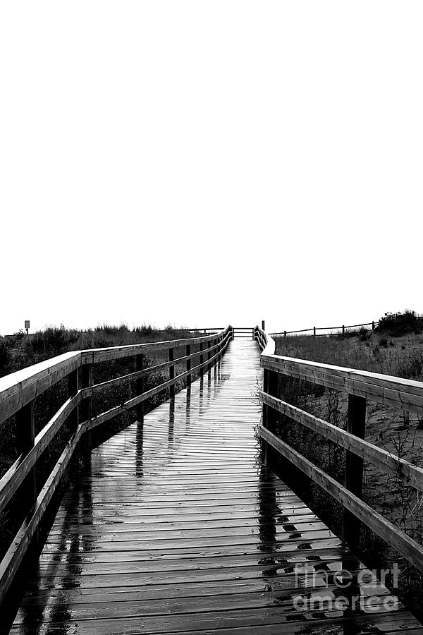 Boardwalk Off The Earth Photograph by Nina Silver