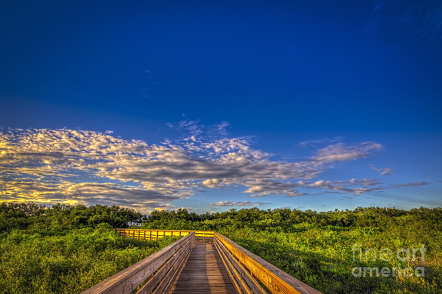 Tampa Photograph - Boardwalk Sunset by Marvin Spates