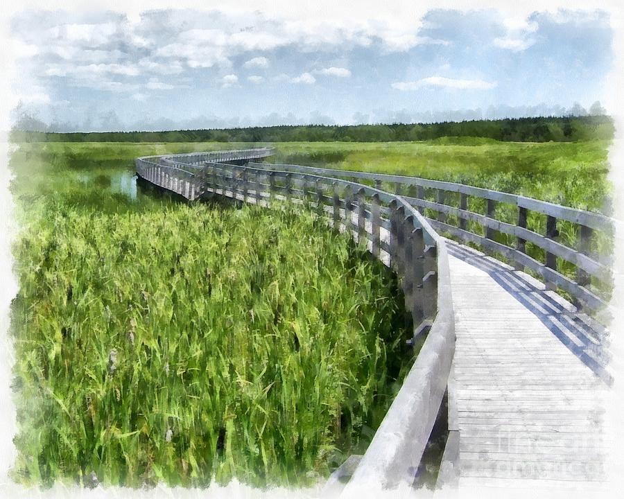 Nature Painting - Boardwalk Through the Dunes Prince Edward Island by Edward Fielding