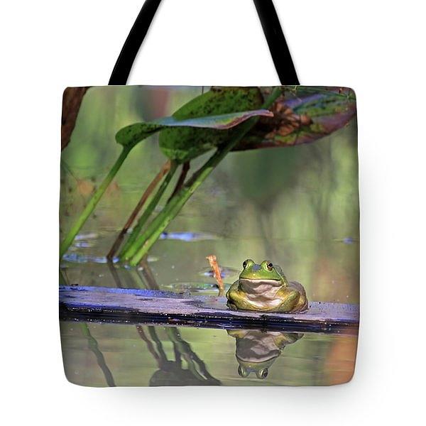 Boardwalk - tote Photograph by Donna Kennedy