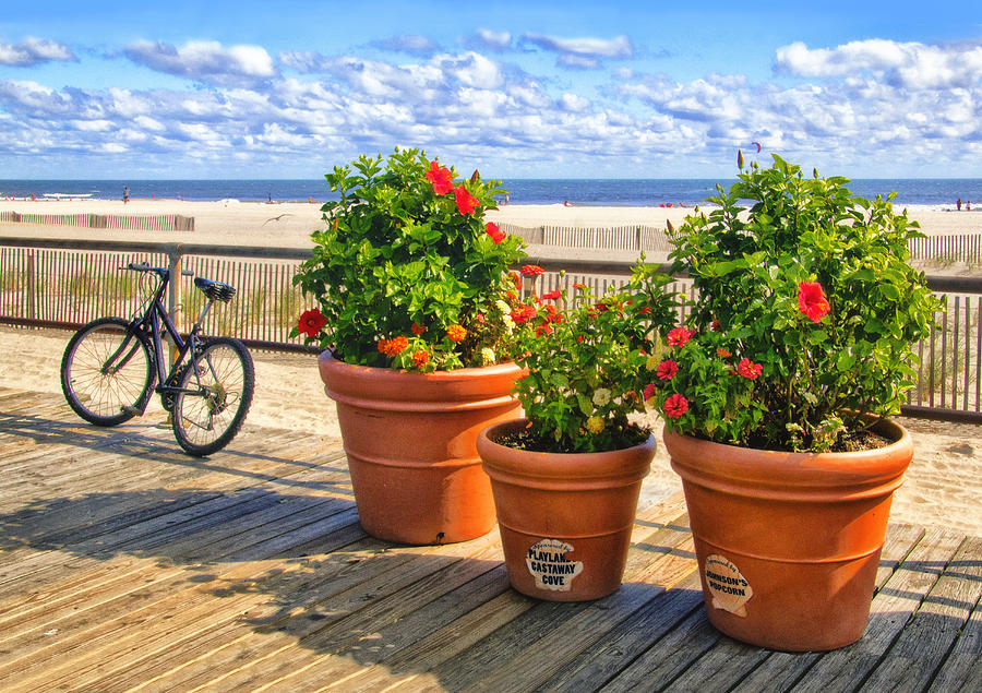 Summer Photograph - Boardwalk view by Carolyn Derstine